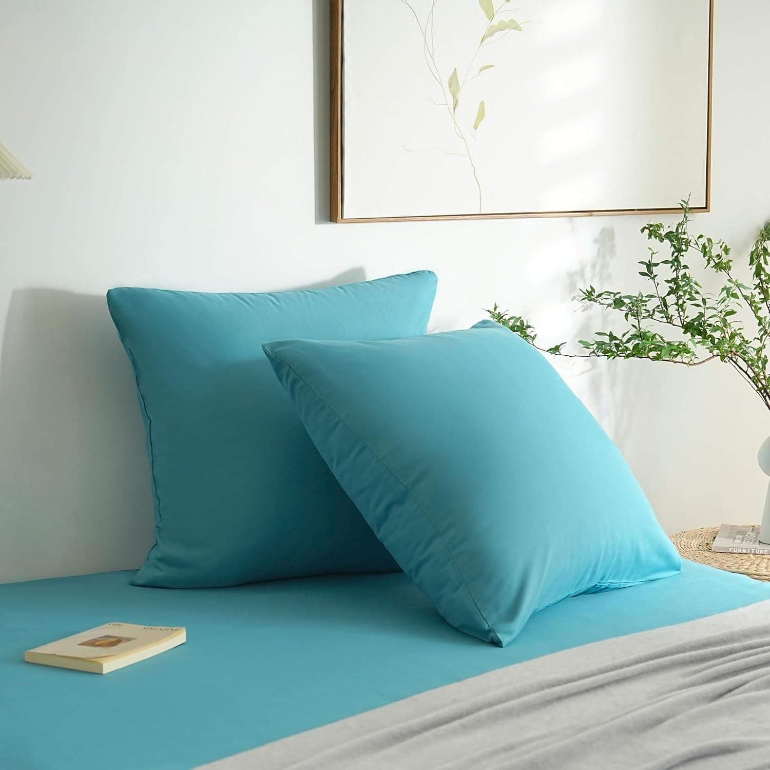 MOHAP Lot de 2- Taies d'oreiller 65x65cm Lac Bleu Housse d'oreiller avec Une Fermeture Eclair en Microfibre 2