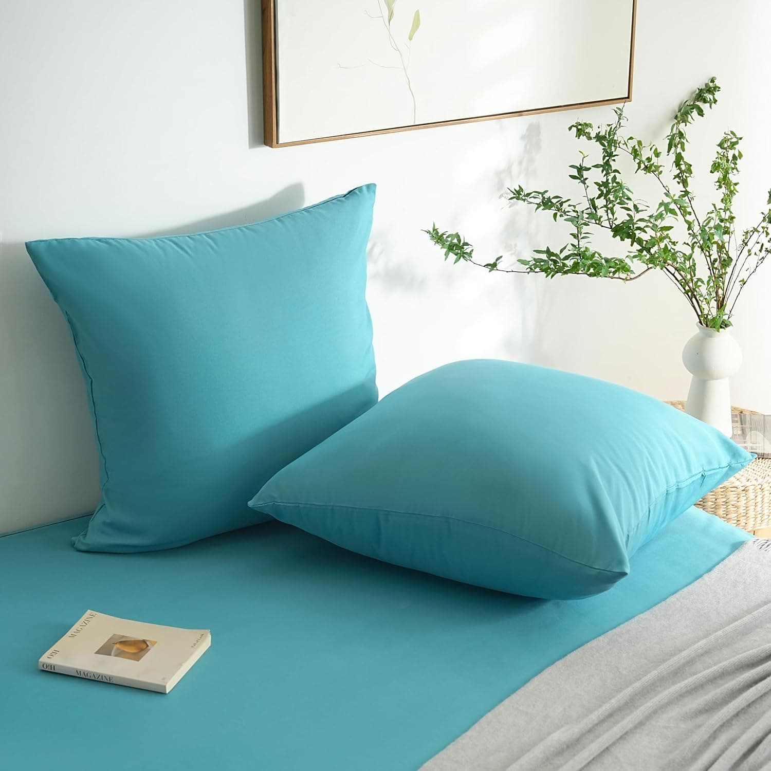 MOHAP Lot de 2- Taies d'oreiller 65x65cm Lac Bleu Housse d'oreiller avec Une Fermeture Eclair en Microfibre 3