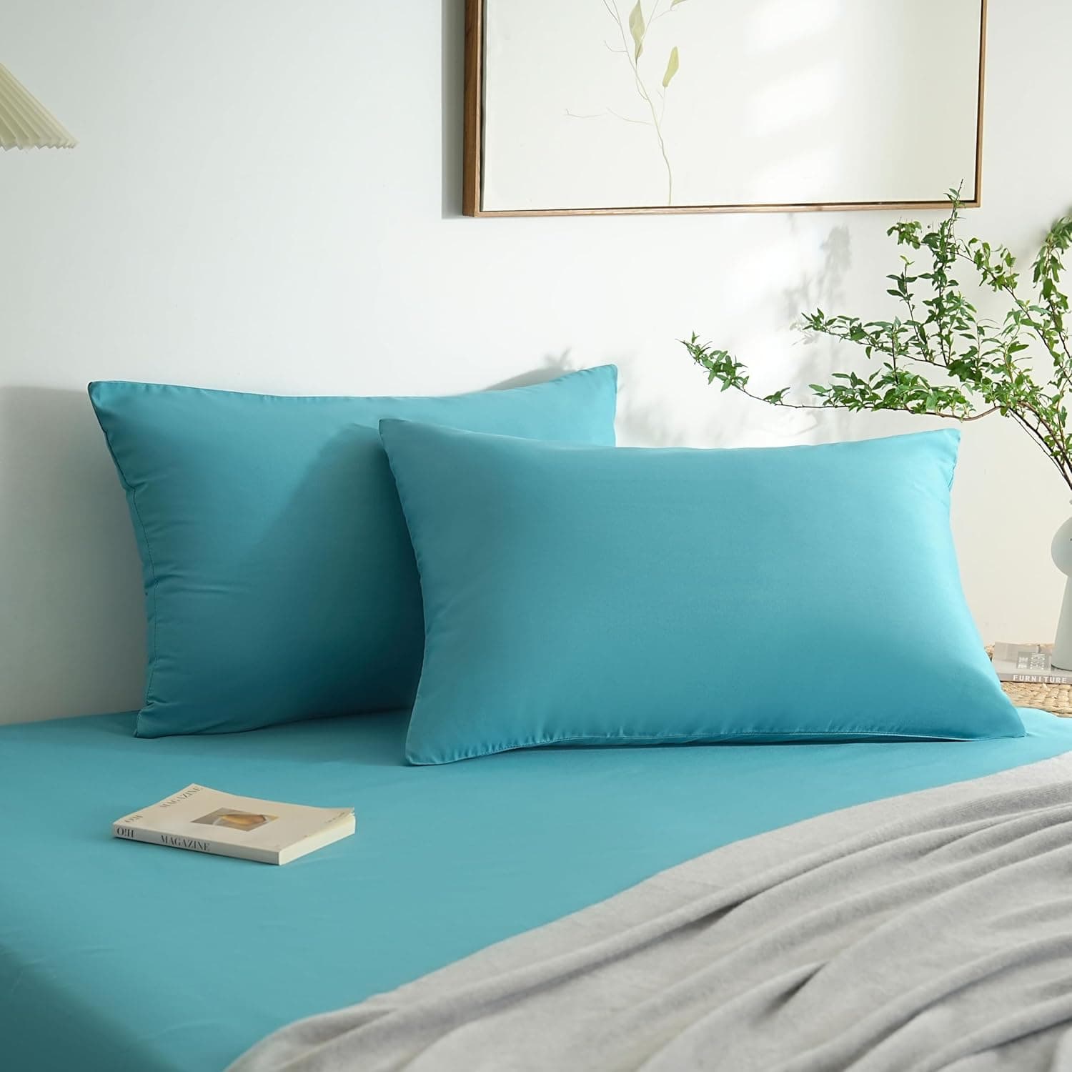 MOHAP Lot de 2- Taies d'oreiller 50x70cm Lac Bleu Housse d'oreiller avec Une Fermeture éclair en Microfibre