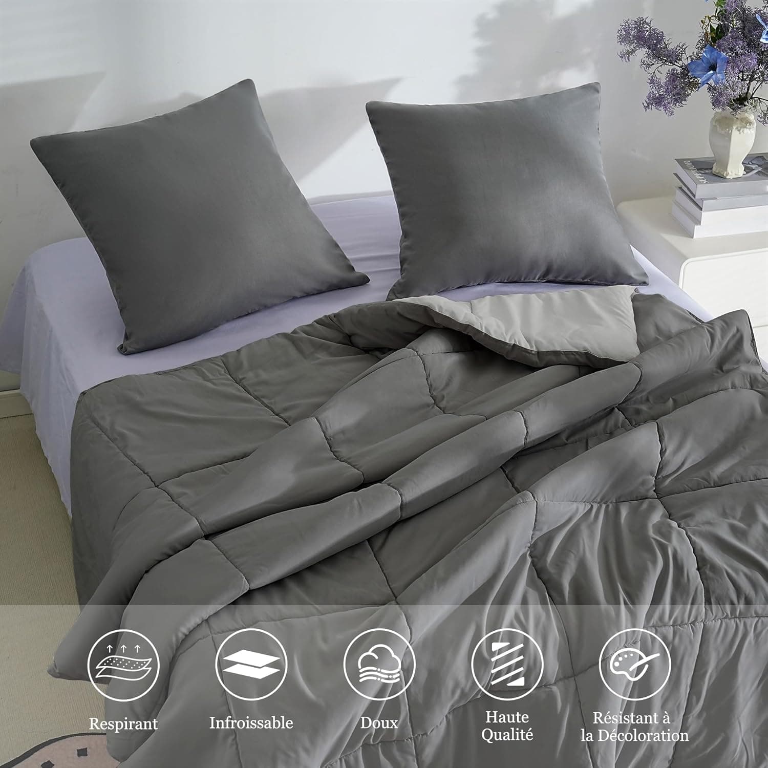 18 Couleurs Lot 2 Taie d'oreiller 60x60 cm Gris Housse Oreiller Coussin pour Canapé Lit Fermeture Éclair Anti-Acariens Hypoallergénique Protège Oreiller Zip Microfibre 4