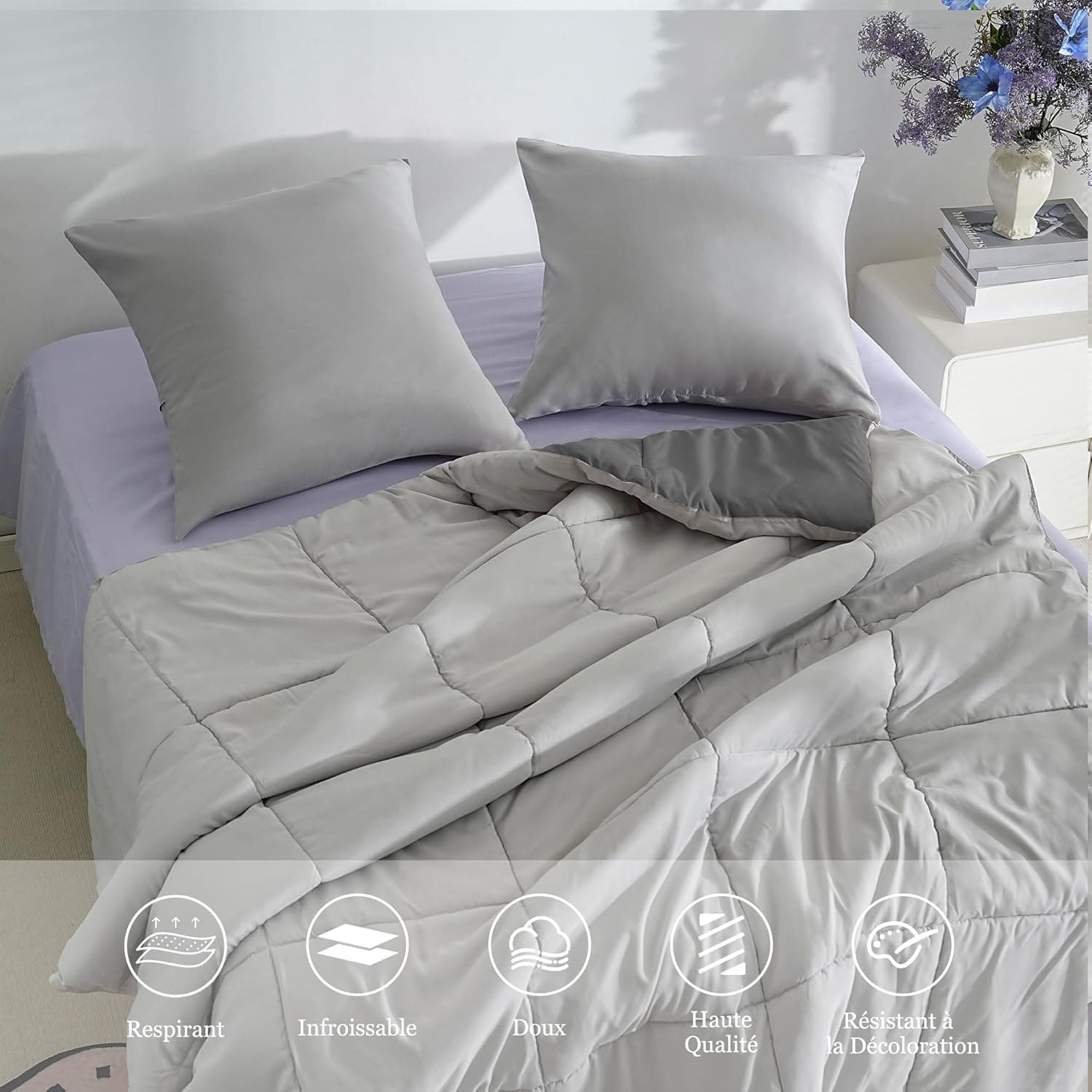 18 Couleurs Lot 2 Taie d'oreiller 65x65 cm Gris Claire Housse Oreiller Coussin pour Canapé Lit Fermeture Éclair Anti-Acariens Hypoallergénique Protège Oreiller Zip Microfibre 4
