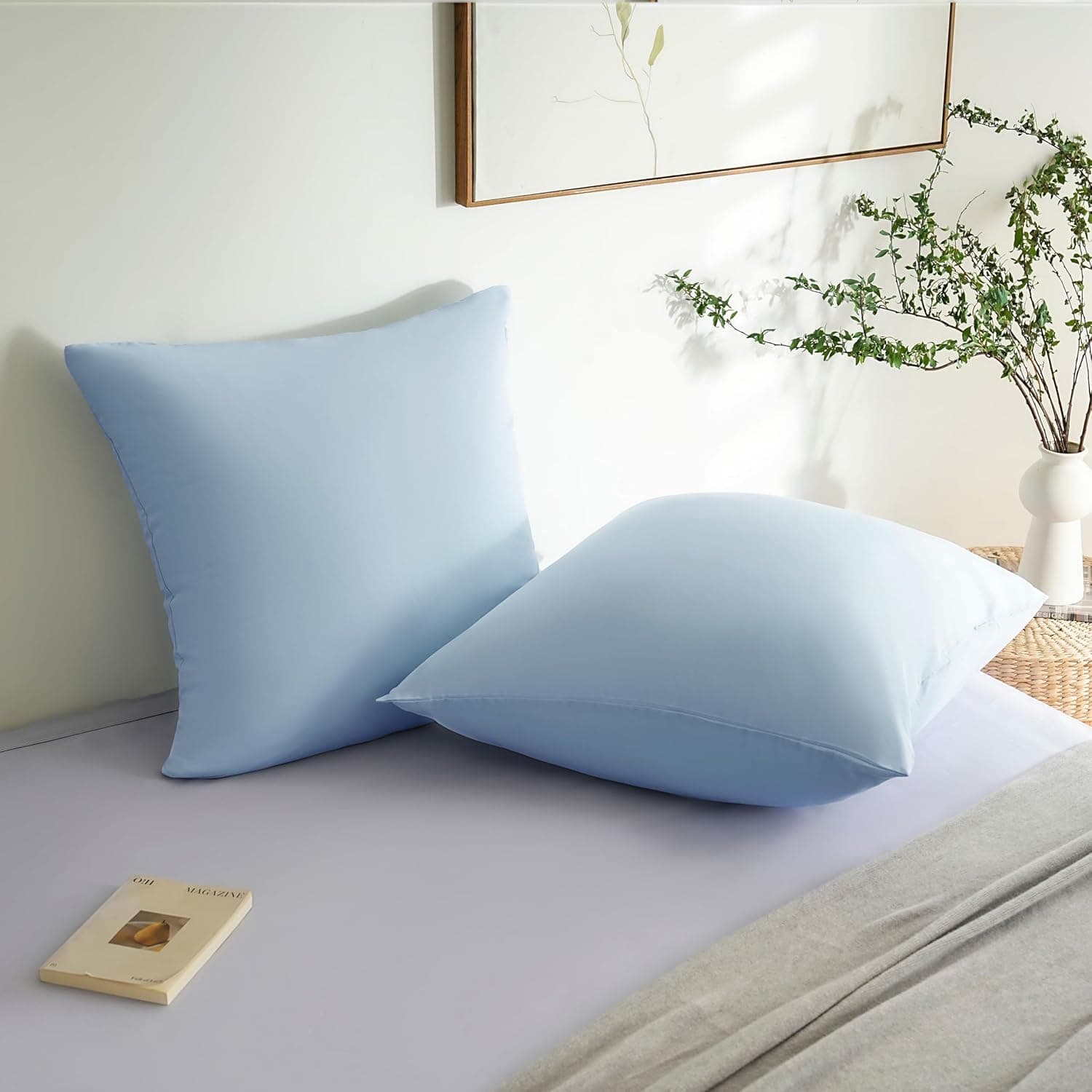 MOHAP Lot de 2- Taies d'oreiller 65x65cm Bleu Clair Housse d'oreiller avec Une Fermeture éclair en Microfibre 3