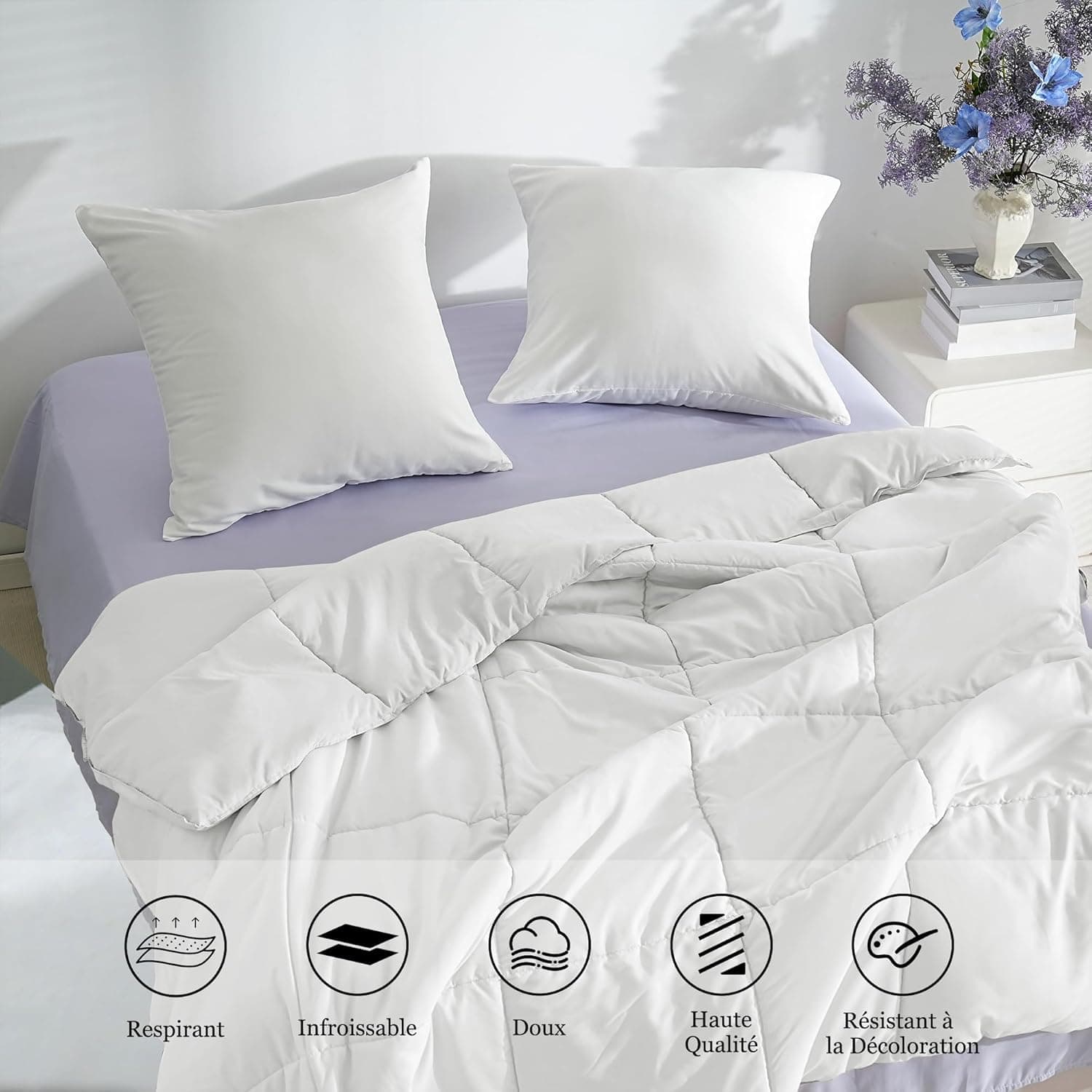 18 Couleurs Lot 2 Taie d'oreiller 60x60 cm Blanc Housse Oreiller Coussin pour Canapé Lit Fermeture Éclair Anti-Acariens Hypoallergénique Protège Oreiller Zip Microfibre 4
