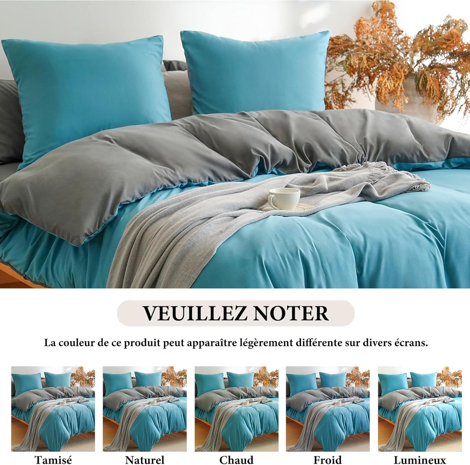 MOHAP Parure de Lit Réversible avec Fermeture éclair Microfibre 220x240 cm Bleu Lac + Gris Foncé et 2 Taies d'oreiller 65x65 cm Housse de Couette Adulte 6